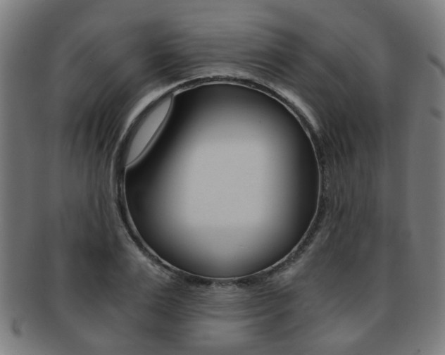 X0000091900983200709051100