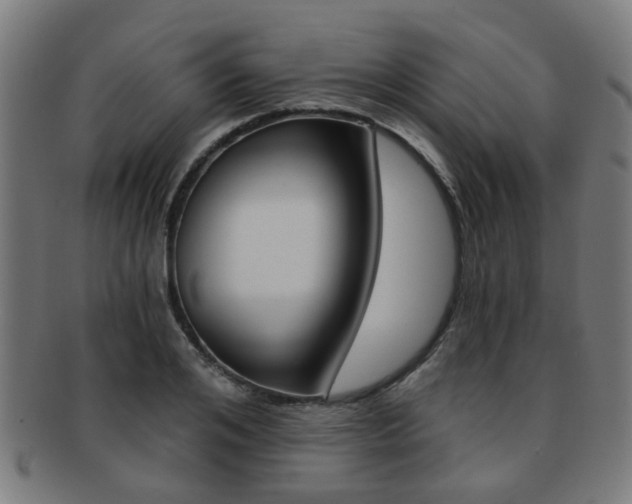 X0000091900984200709051100