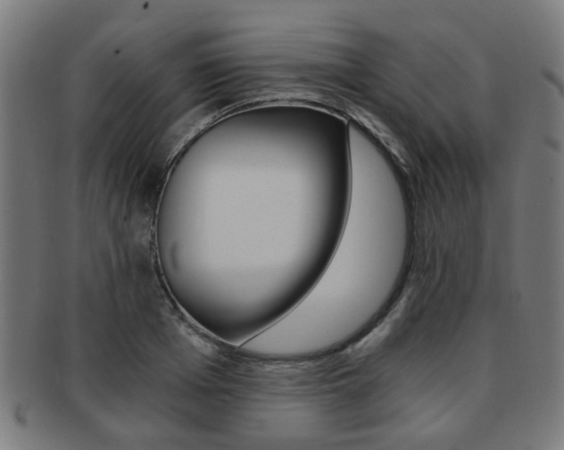 X0000091900985200709051100