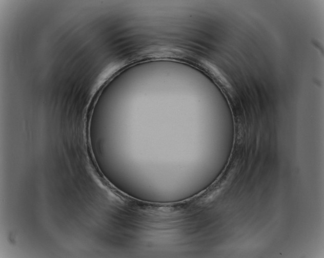 X0000091900986200709051100
