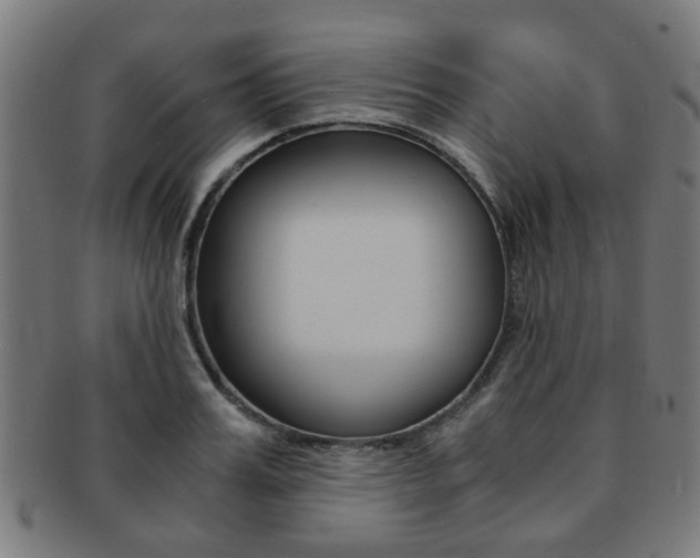 X0000091900987200709051100