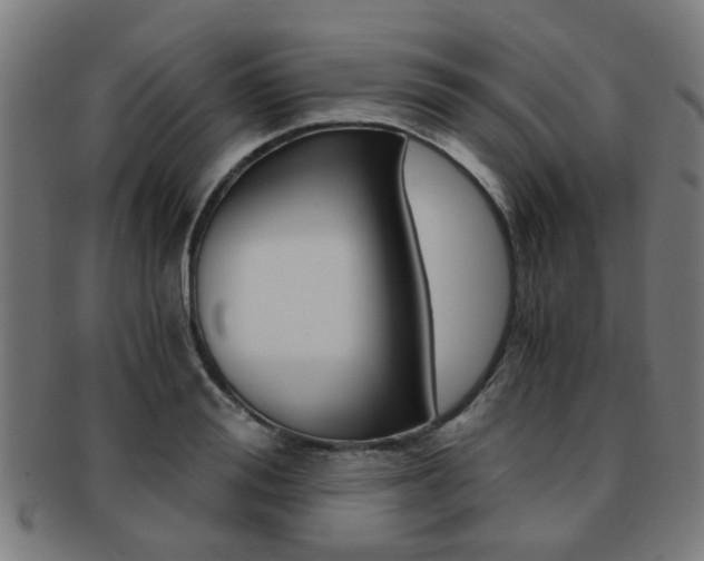 X0000091900988200709051100