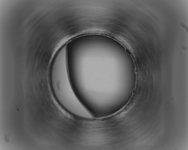 X0000091900989200709051100