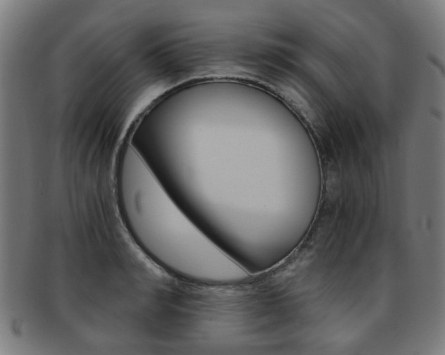 X0000091900990200709051100
