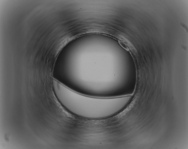 X0000091900993200709051100