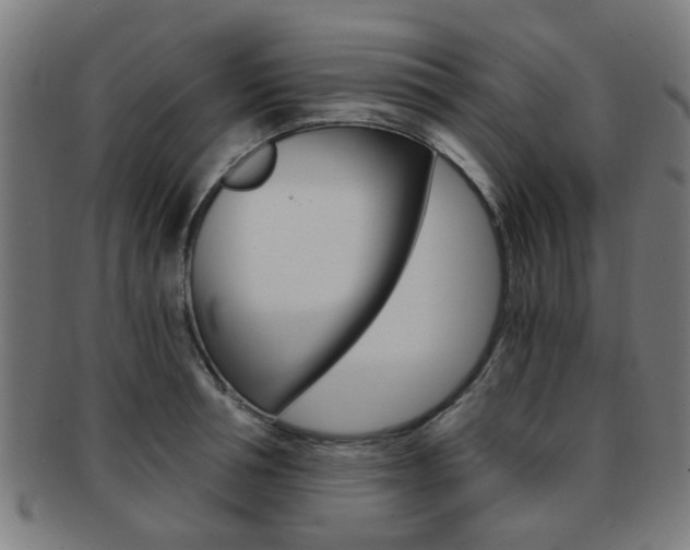 X0000091900994200709051100