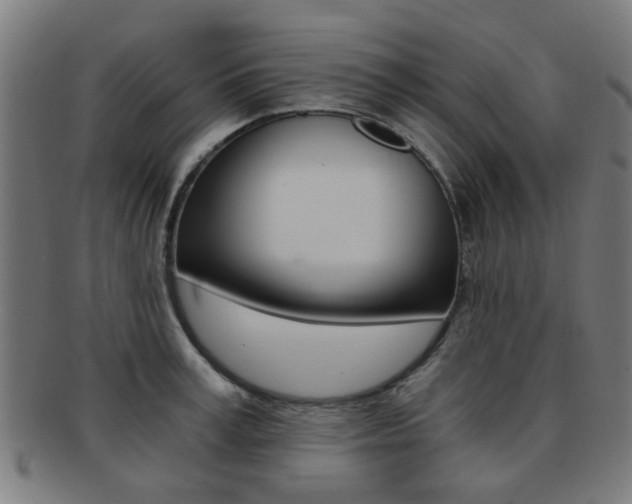 X0000091900995200709051100