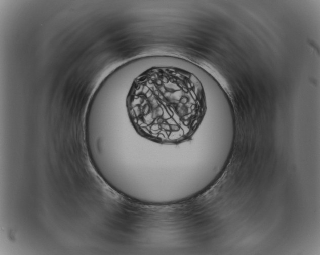 X0000091900996200709051100