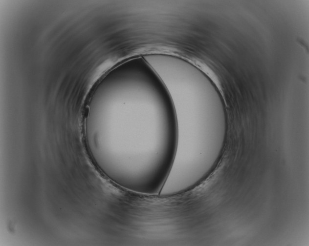 X0000091900997200709051100