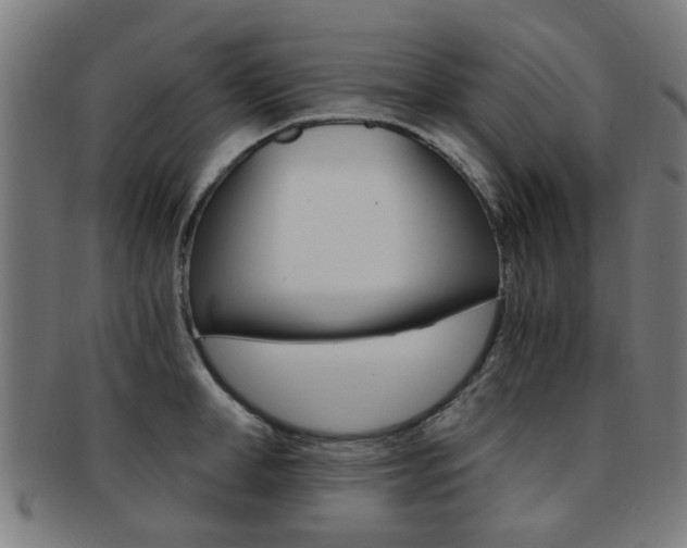 X0000091900998200709051100