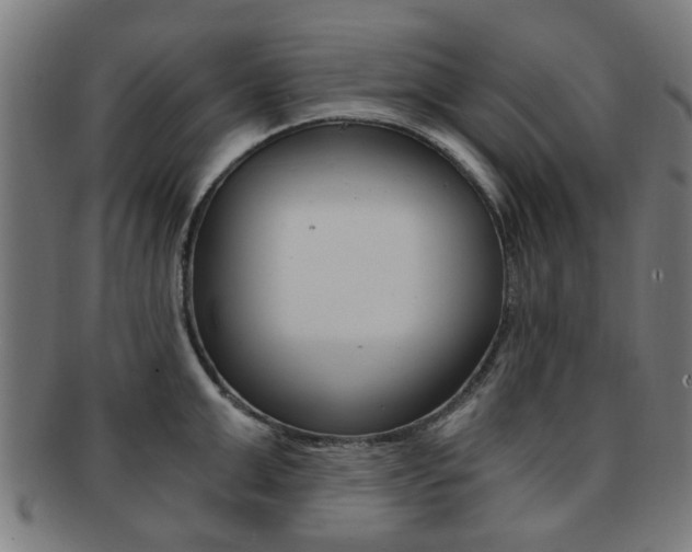 X0000091900999200709051100