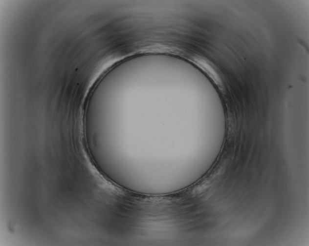 X0000091901000200709051100