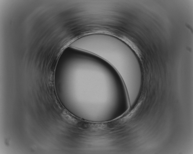 X0000091901001200709051100