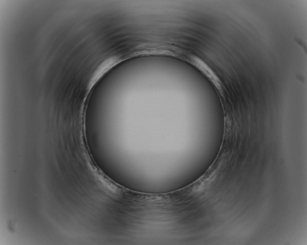 X0000091901002200709051100