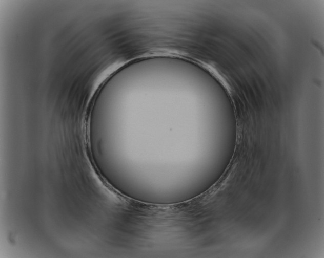 X0000091901003200709051100