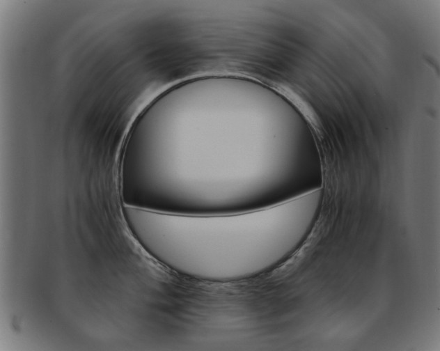X0000091901004200709051100