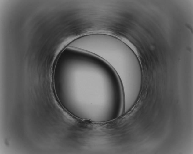 X0000091901005200709051100