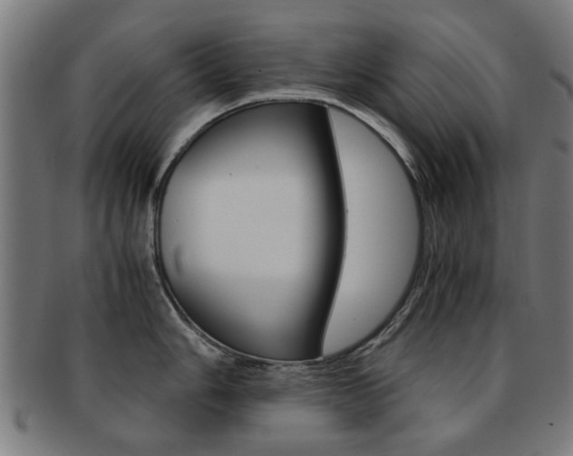 X0000091901006200709051100