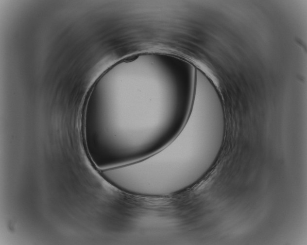 X0000091901007200709051100