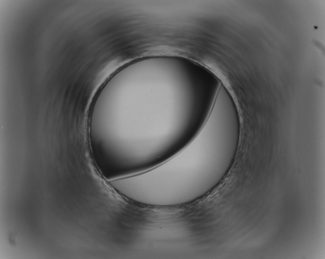X0000091901008200709051100