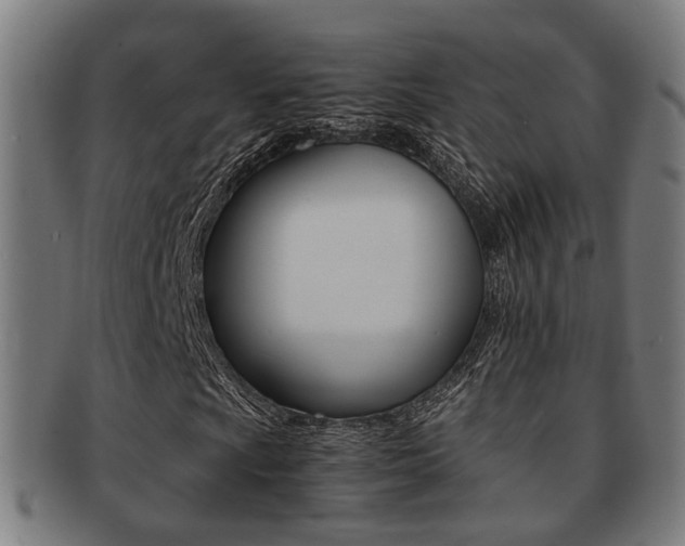 X0000091901009200709051059