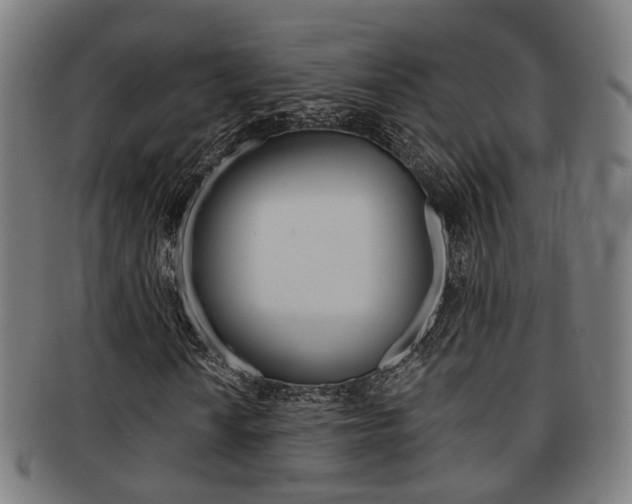 X0000091901010200709051059