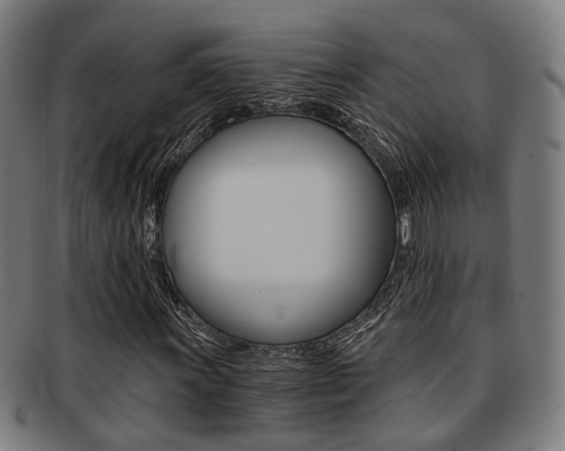 X0000091901011200709051059