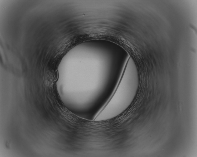 X0000091901012200709051059