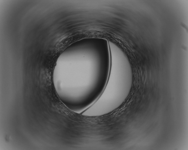 X0000091901013200709051059
