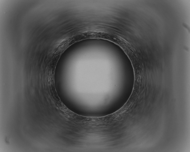X0000091901014200709051059