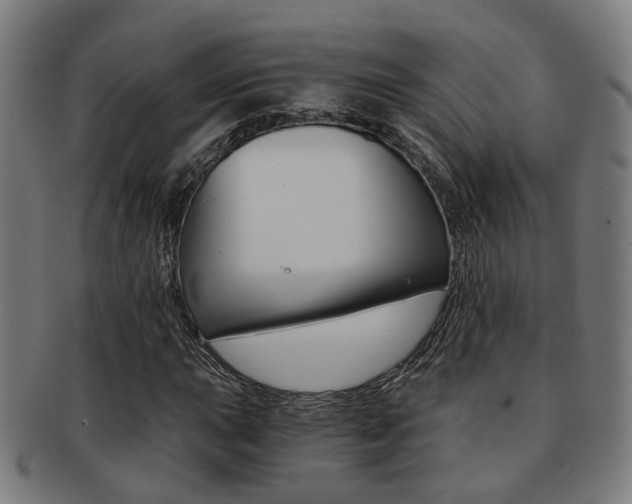 X0000091901015200709051059