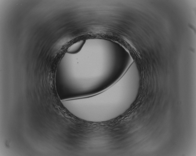 X0000091901016200709051059