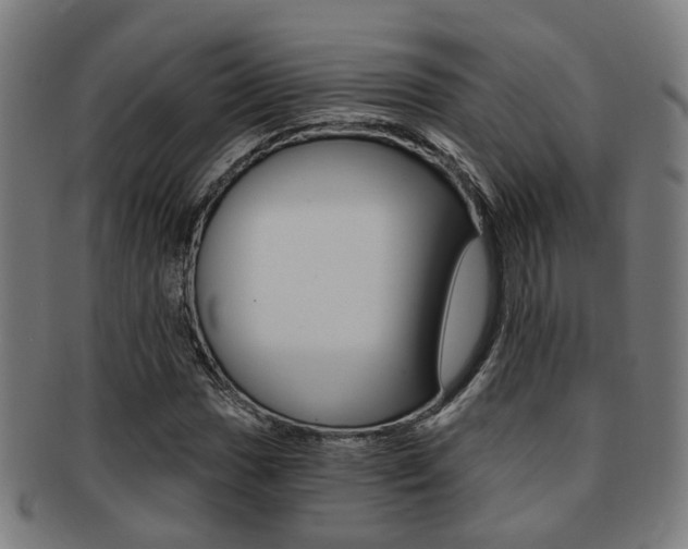 X0000091901017200709051059