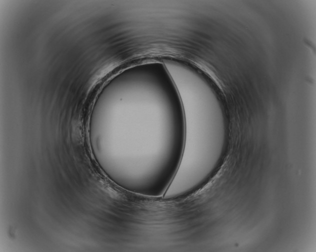 X0000091901018200709051100