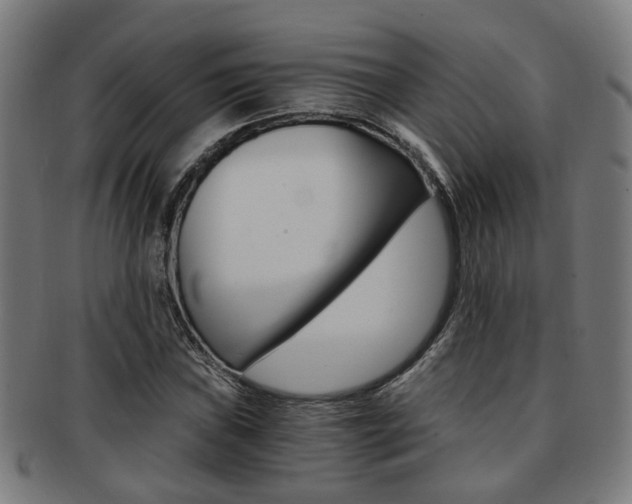 X0000091901019200709051100
