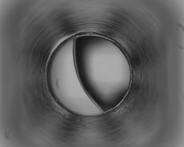 X0000091901020200709051100