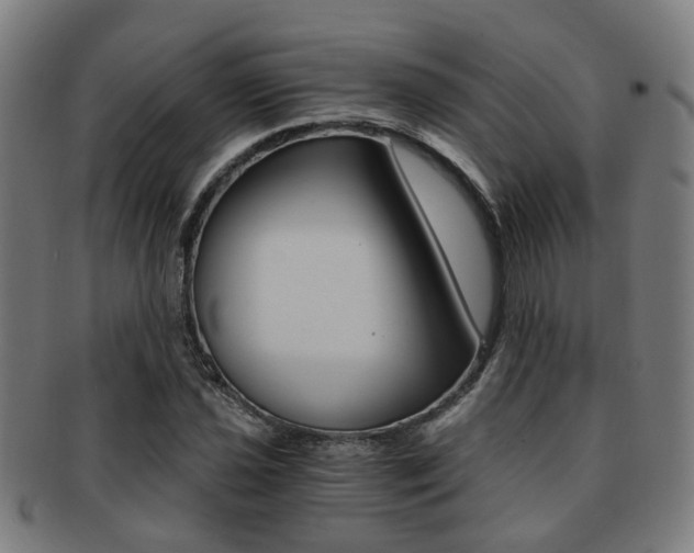 X0000091901021200709051100