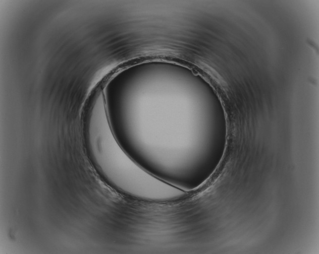 X0000091901022200709051100