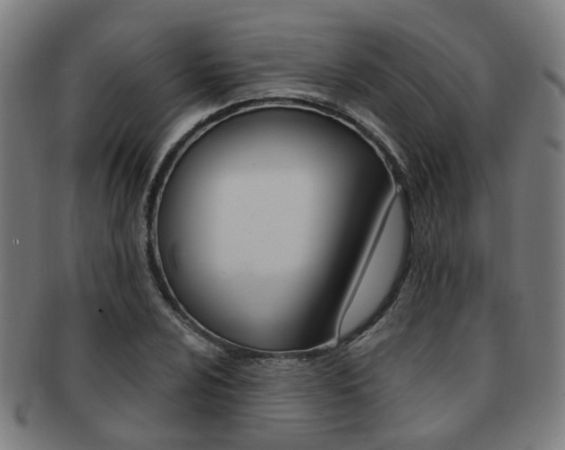X0000091901024200709051100