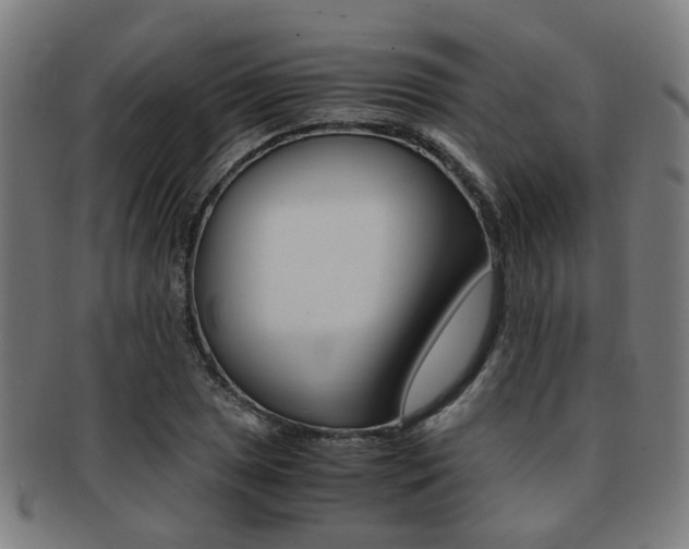 X0000091901025200709051100