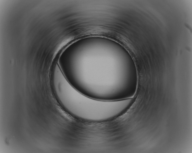 X0000091901026200709051100