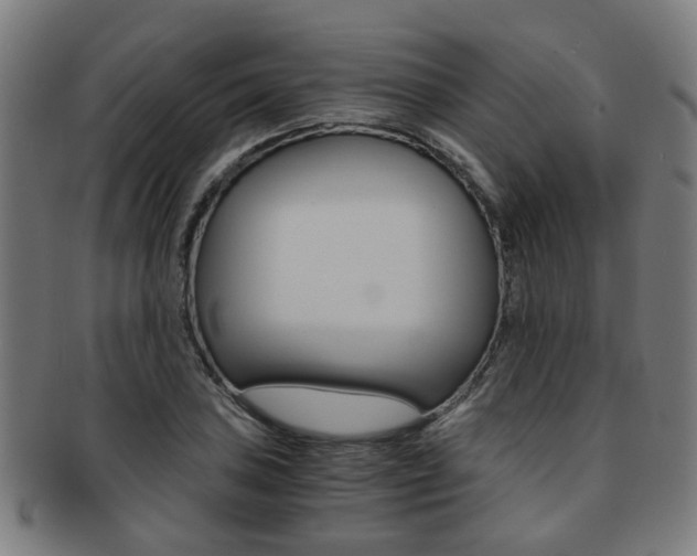 X0000091901027200709051100