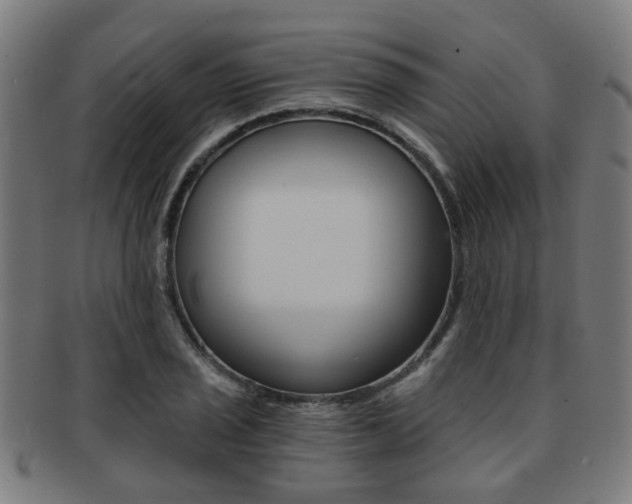 X0000091901029200709051100