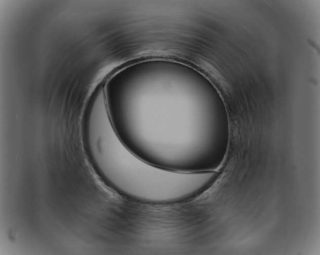 X0000091901030200709051100