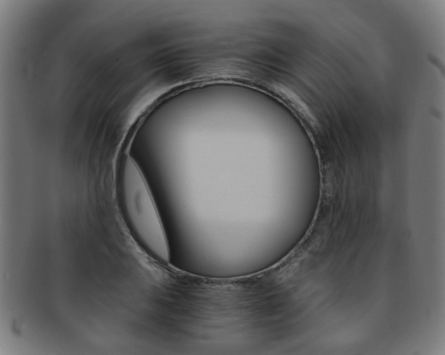 X0000091901031200709051100