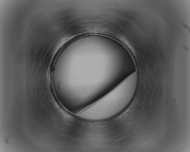 X0000091901032200709051100