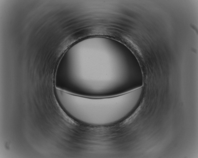 X0000091901033200709051100