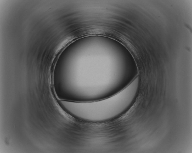 X0000091901034200709051100