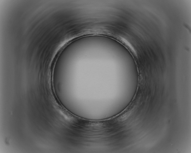 X0000091901035200709051100