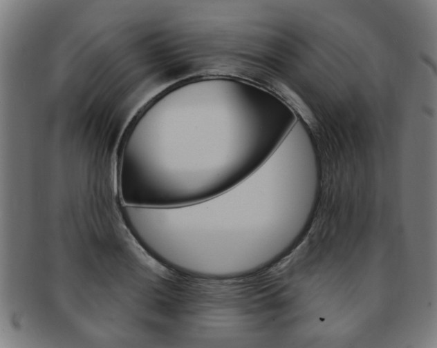 X0000091901036200709051100